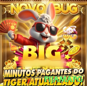 8857 Brasil Royal v1.4.9 Screenshot 1